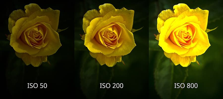 Minh họa iso, độ nhạy sáng và nhiễu hạt trong phần điểm cần nhớ