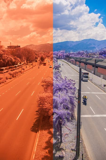Minh họa phân biệt raw và jpeg trong phần ví dụ thực tế