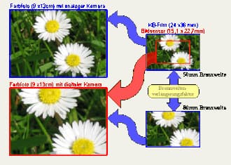 Minh họa tiêu cự, cảm biến, megapixel và crop factor trong phần ví dụ thực tế