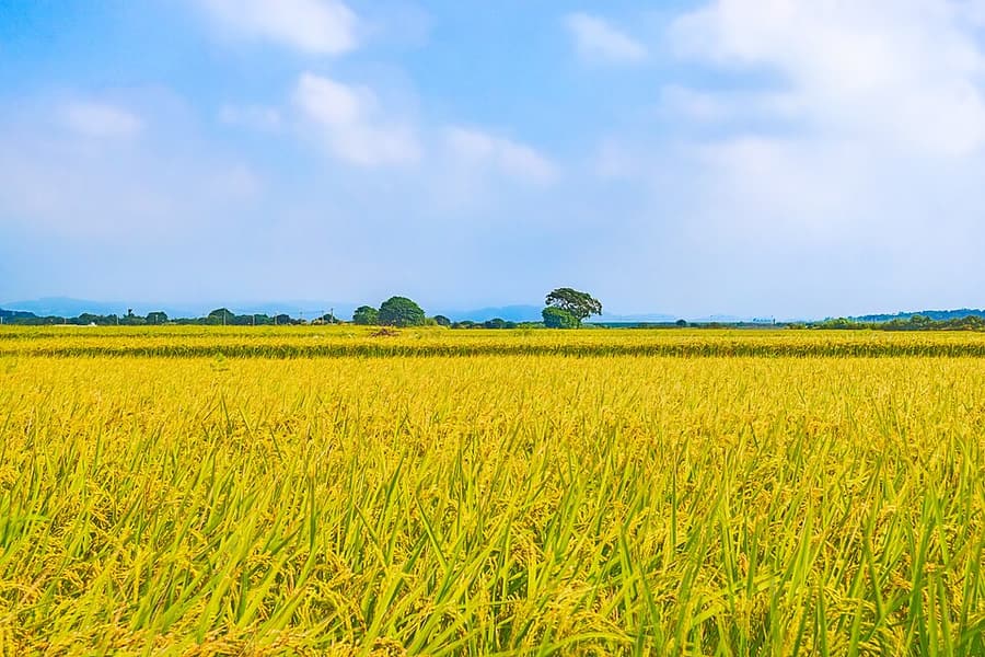 Minh họa phong cảnh và du lịch trong phần hoàn thành khi